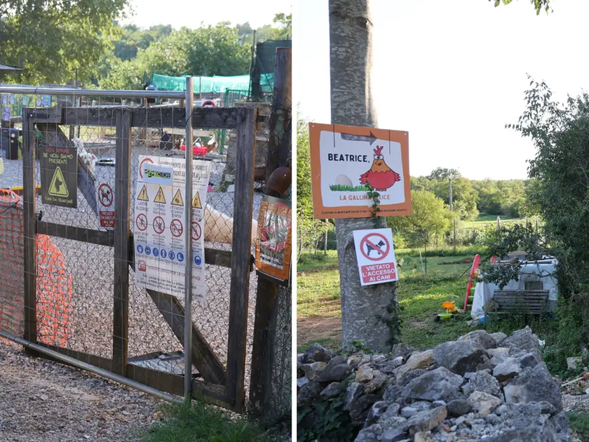L’ingresso dell’attività “Beatrice, la gallina felice” di Sales (foto Andrea Lasorte)
