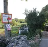 Il centro estivo “Beatrice, la gallina felice” della frazione di Sales, a Sgonico (foto Andrea Lasorte)