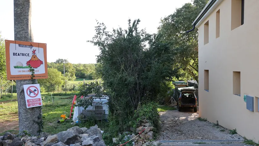 Il centro estivo “Beatrice, la gallina felice” della frazione di Sales, a Sgonico (foto Andrea Lasorte)