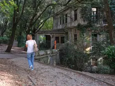 Il parco di Villa Cosulich è stato riqualificato, mentre la villa è transennata. Foto Massimo Silvano