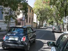 Via Trento a Gorizia, dove l'uomo di 50 anni ha spaccato un finestrino a colpi di coltello. Foto Tibaldi