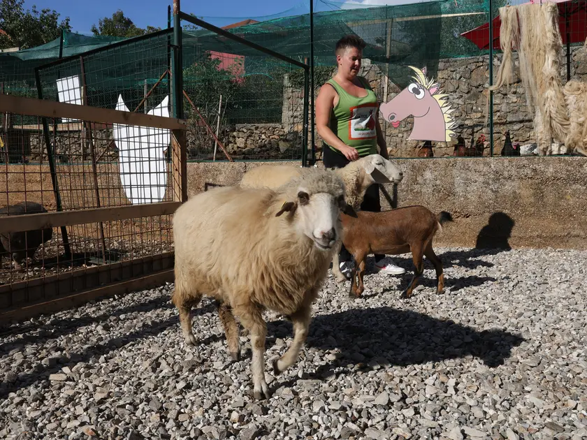 Giulia Bettellini nel centro didattico tra pecore e capre Foto Lasorte