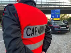 Ampia l'attività di controllo dei carabinieri nel Monfalconese