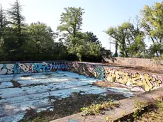 Le condizioni in cui versa la piscina, la vegetazioni ha preso il sopravvento Foto Andrea Lasorte