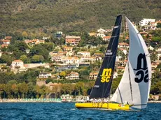 L’Msc nelle acque del golfo di Trieste
