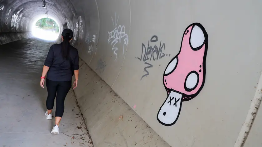 Scritte con lo spray nel tunnel (fotoservizio Daniele Tibaldi)