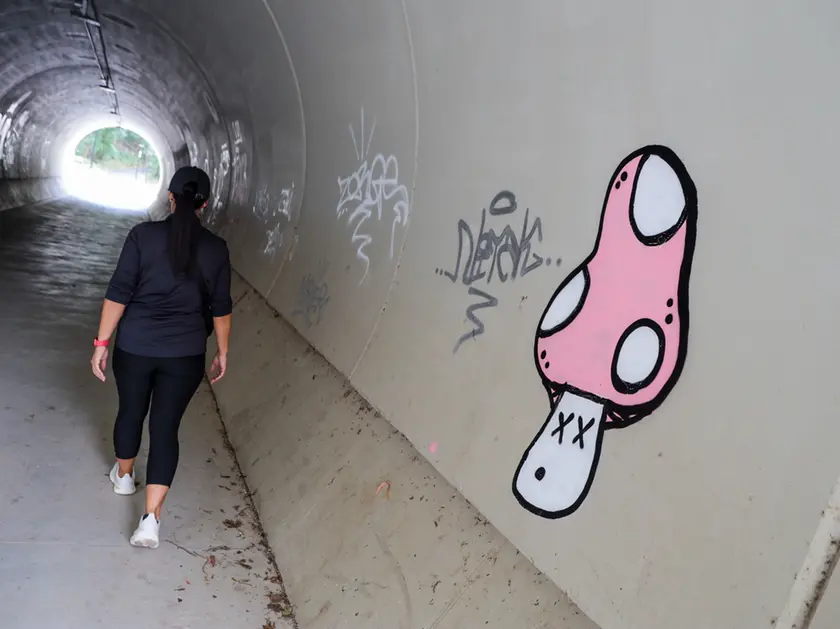 Scritte con lo spray nel tunnel (fotoservizio Daniele Tibaldi)
