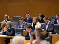 Tra i deputati, in alto a sinistra Stevanović (sito Parlamento sloveno)