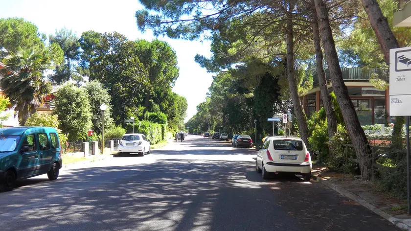 Viale dei Pesci in Pineta