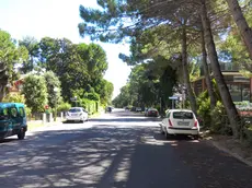 Viale dei Pesci in Pineta
