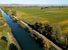 L’area del Brancolo su cui insiste il progetto Katia Bonaventura