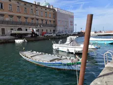 Alcune imbarcazioni ormeggiate al Canal Grande. Foto Bruni