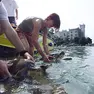 Trieste - Laboratorio a cura del WWF per la restituzione di alcune tartarughe alle acque del parco di Miramare