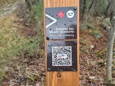 Una delle indicazioni naturalistiche scomparse