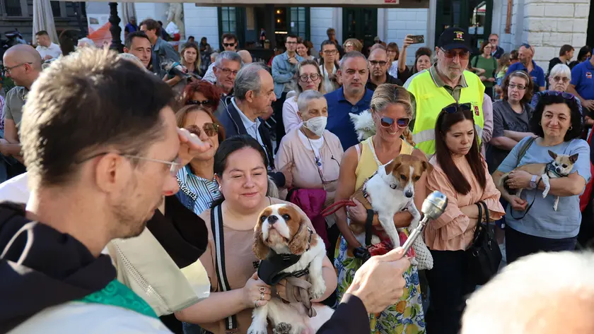 Un momento della festa di San Francesco (foto Lasorte)