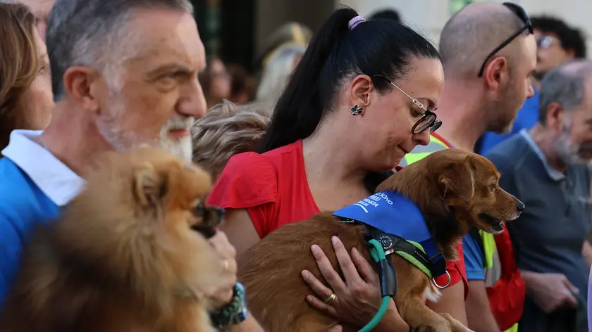 Padroni e animali alla festa (foto Lasorte)