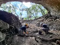 Gli scavi nel terreno della grotta Tina Jama di Sgonico