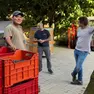 La nuova cantina a Visinale del Judrio e i lavori per la vendemmia