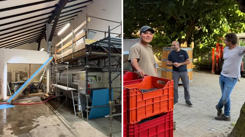 La nuova cantina a Visinale del Judrio e i lavori per la vendemmia