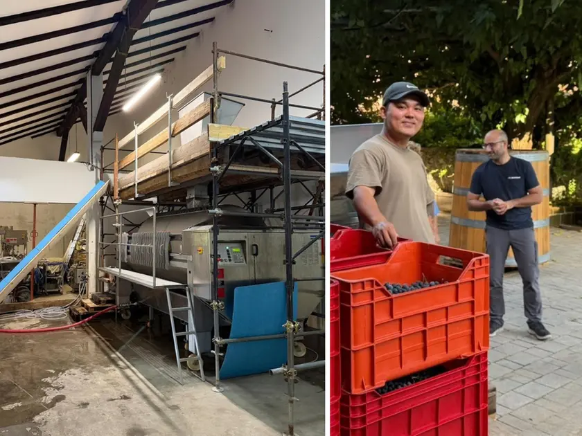 La nuova cantina a Visinale del Judrio e i lavori per la vendemmia