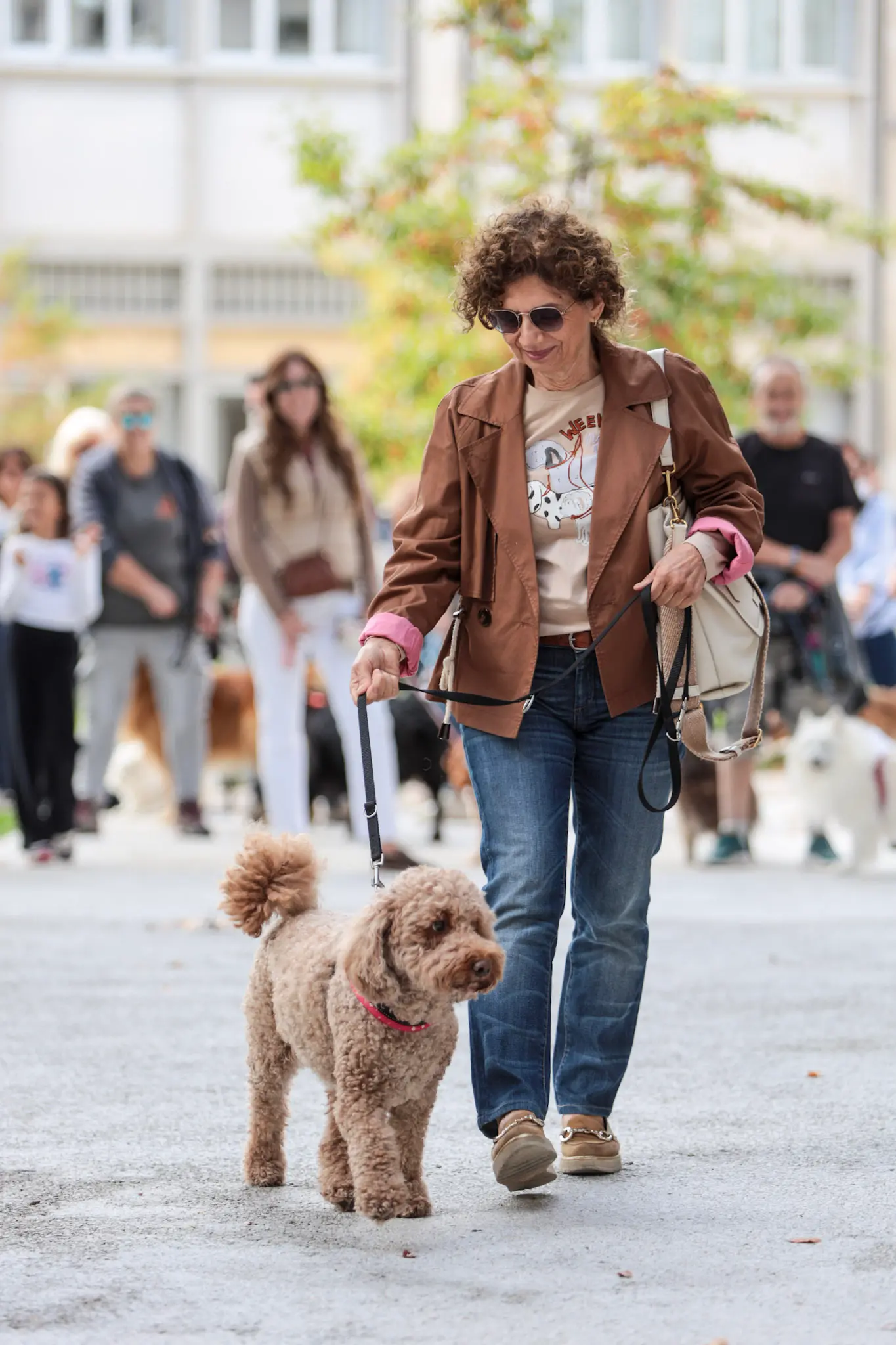 Quarantacinque partecipanti, tanti sorrisi e un'ospite d'onore davvero speciale. Il parco del Municipio di Gorizia ha ospitato sabato 10 ottobre la quarta edizione della benedizione degli animali, organizzata dal Comune insieme alle associazioni La Cuccia, Zampette Cormonesi e Gli amici di Poldo. Alla sfilata hanno partecipato soprattutto cani, con l'eccezione di due tartarughe, suddivisi in tre categorie: tale e quale, bon ton e simpatia. La benedizione è stata impartita da don Fulvio Marcioni, alla presenza del sindaco Rodolfo Ziberna e di altri rappresentanti dell'amministrazione comunale. Grande protagonista della giornata Lamù, il pastore australiano dei vigili del fuoco, andato in pensione ad aprile dopo otto anni di servizio e circa cento interventi di soccorso. Tra le sue missioni anche le ricerche dopo il crollo del ponte Morandi a Genova e il terremoto in Turchia (Foto Daniele Tibaldi)