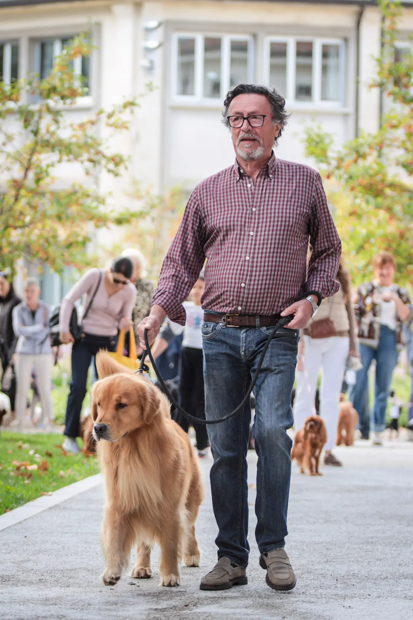 Quarantacinque partecipanti, tanti sorrisi e un'ospite d'onore davvero speciale. Il parco del Municipio di Gorizia ha ospitato sabato 10 ottobre la quarta edizione della benedizione degli animali, organizzata dal Comune insieme alle associazioni La Cuccia, Zampette Cormonesi e Gli amici di Poldo. Alla sfilata hanno partecipato soprattutto cani, con l'eccezione di due tartarughe, suddivisi in tre categorie: tale e quale, bon ton e simpatia. La benedizione è stata impartita da don Fulvio Marcioni, alla presenza del sindaco Rodolfo Ziberna e di altri rappresentanti dell'amministrazione comunale. Grande protagonista della giornata Lamù, il pastore australiano dei vigili del fuoco, andato in pensione ad aprile dopo otto anni di servizio e circa cento interventi di soccorso. Tra le sue missioni anche le ricerche dopo il crollo del ponte Morandi a Genova e il terremoto in Turchia (Foto Daniele Tibaldi)