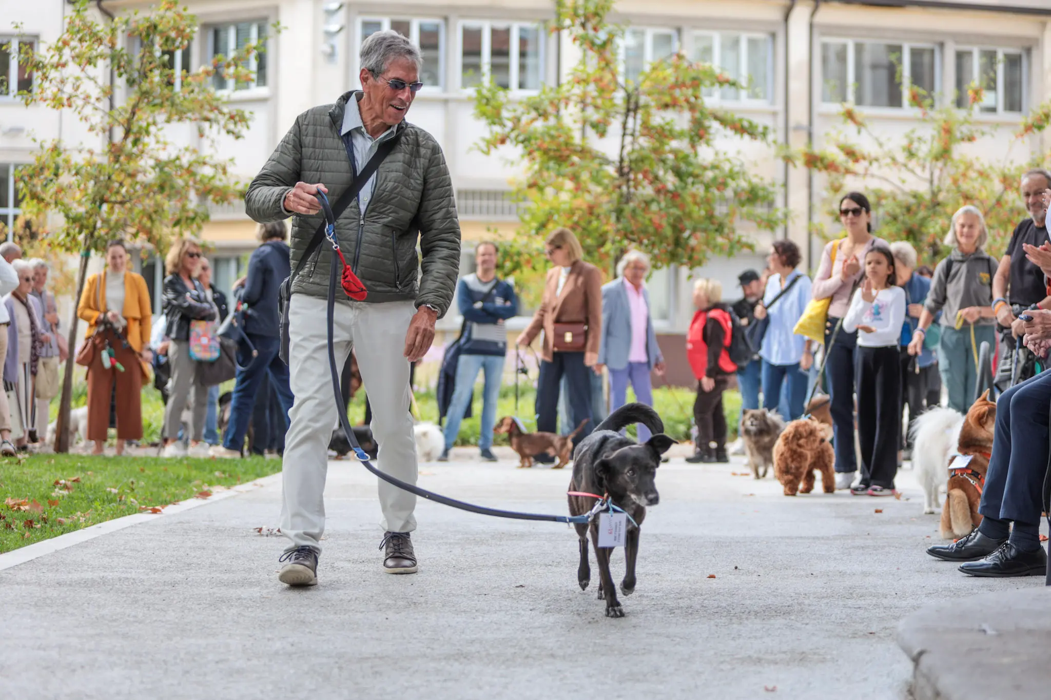 Quarantacinque partecipanti, tanti sorrisi e un'ospite d'onore davvero speciale. Il parco del Municipio di Gorizia ha ospitato sabato 10 ottobre la quarta edizione della benedizione degli animali, organizzata dal Comune insieme alle associazioni La Cuccia, Zampette Cormonesi e Gli amici di Poldo. Alla sfilata hanno partecipato soprattutto cani, con l'eccezione di due tartarughe, suddivisi in tre categorie: tale e quale, bon ton e simpatia. La benedizione è stata impartita da don Fulvio Marcioni, alla presenza del sindaco Rodolfo Ziberna e di altri rappresentanti dell'amministrazione comunale. Grande protagonista della giornata Lamù, il pastore australiano dei vigili del fuoco, andato in pensione ad aprile dopo otto anni di servizio e circa cento interventi di soccorso. Tra le sue missioni anche le ricerche dopo il crollo del ponte Morandi a Genova e il terremoto in Turchia (Foto Daniele Tibaldi)