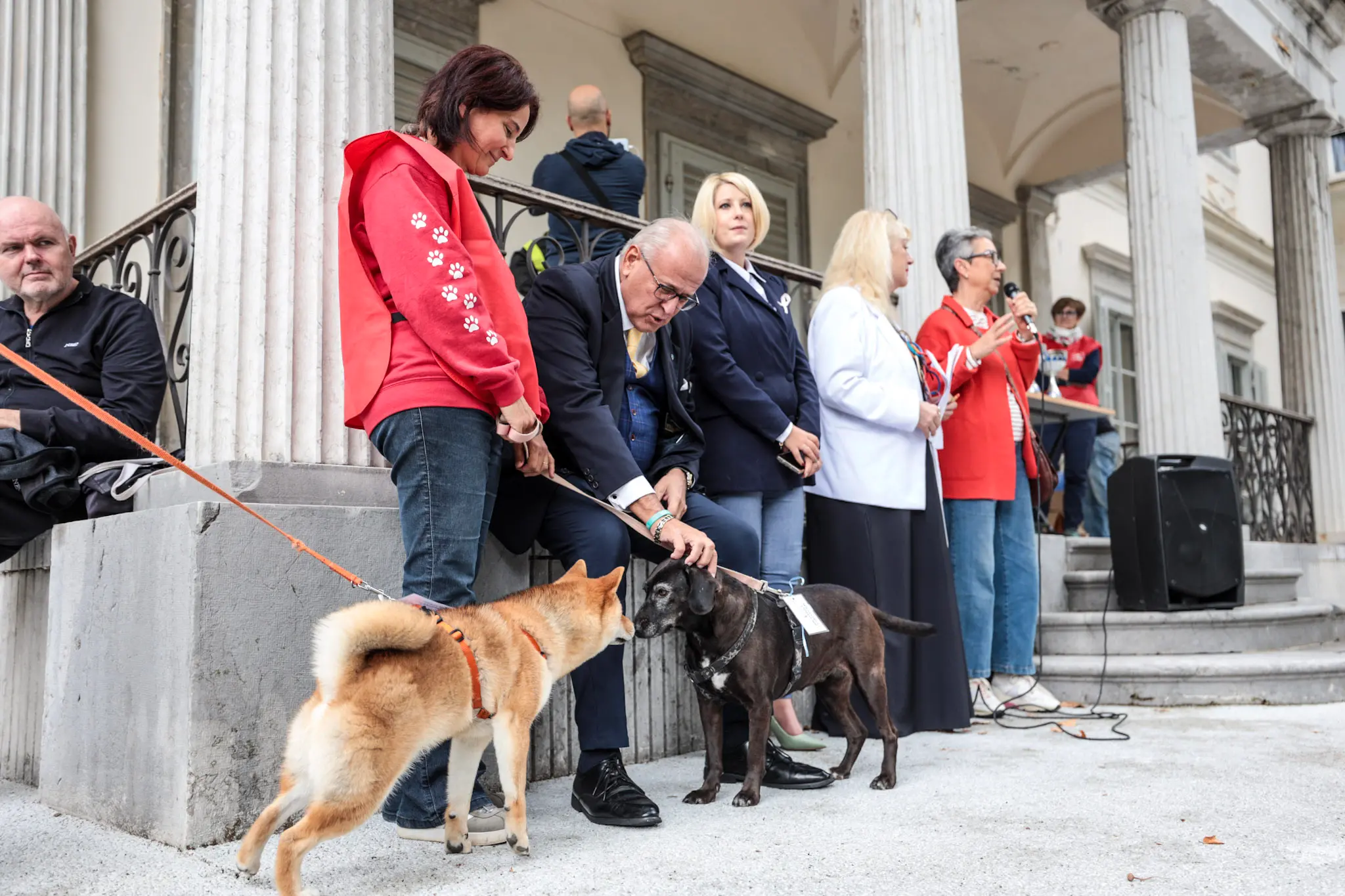 Quarantacinque partecipanti, tanti sorrisi e un'ospite d'onore davvero speciale. Il parco del Municipio di Gorizia ha ospitato sabato 10 ottobre la quarta edizione della benedizione degli animali, organizzata dal Comune insieme alle associazioni La Cuccia, Zampette Cormonesi e Gli amici di Poldo. Alla sfilata hanno partecipato soprattutto cani, con l'eccezione di due tartarughe, suddivisi in tre categorie: tale e quale, bon ton e simpatia. La benedizione è stata impartita da don Fulvio Marcioni, alla presenza del sindaco Rodolfo Ziberna e di altri rappresentanti dell'amministrazione comunale. Grande protagonista della giornata Lamù, il pastore australiano dei vigili del fuoco, andato in pensione ad aprile dopo otto anni di servizio e circa cento interventi di soccorso. Tra le sue missioni anche le ricerche dopo il crollo del ponte Morandi a Genova e il terremoto in Turchia (Foto Daniele Tibaldi)