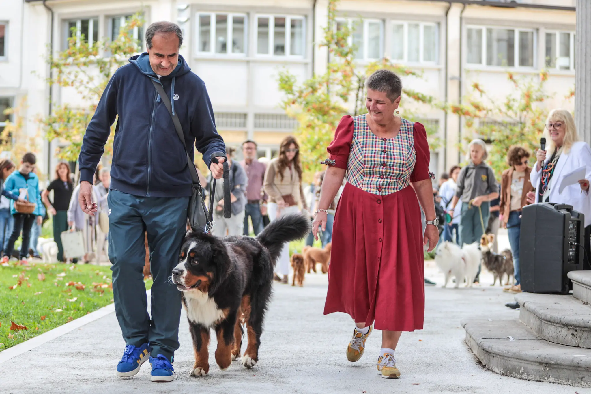 Quarantacinque partecipanti, tanti sorrisi e un'ospite d'onore davvero speciale. Il parco del Municipio di Gorizia ha ospitato sabato 10 ottobre la quarta edizione della benedizione degli animali, organizzata dal Comune insieme alle associazioni La Cuccia, Zampette Cormonesi e Gli amici di Poldo. Alla sfilata hanno partecipato soprattutto cani, con l'eccezione di due tartarughe, suddivisi in tre categorie: tale e quale, bon ton e simpatia. La benedizione è stata impartita da don Fulvio Marcioni, alla presenza del sindaco Rodolfo Ziberna e di altri rappresentanti dell'amministrazione comunale. Grande protagonista della giornata Lamù, il pastore australiano dei vigili del fuoco, andato in pensione ad aprile dopo otto anni di servizio e circa cento interventi di soccorso. Tra le sue missioni anche le ricerche dopo il crollo del ponte Morandi a Genova e il terremoto in Turchia (Foto Daniele Tibaldi)