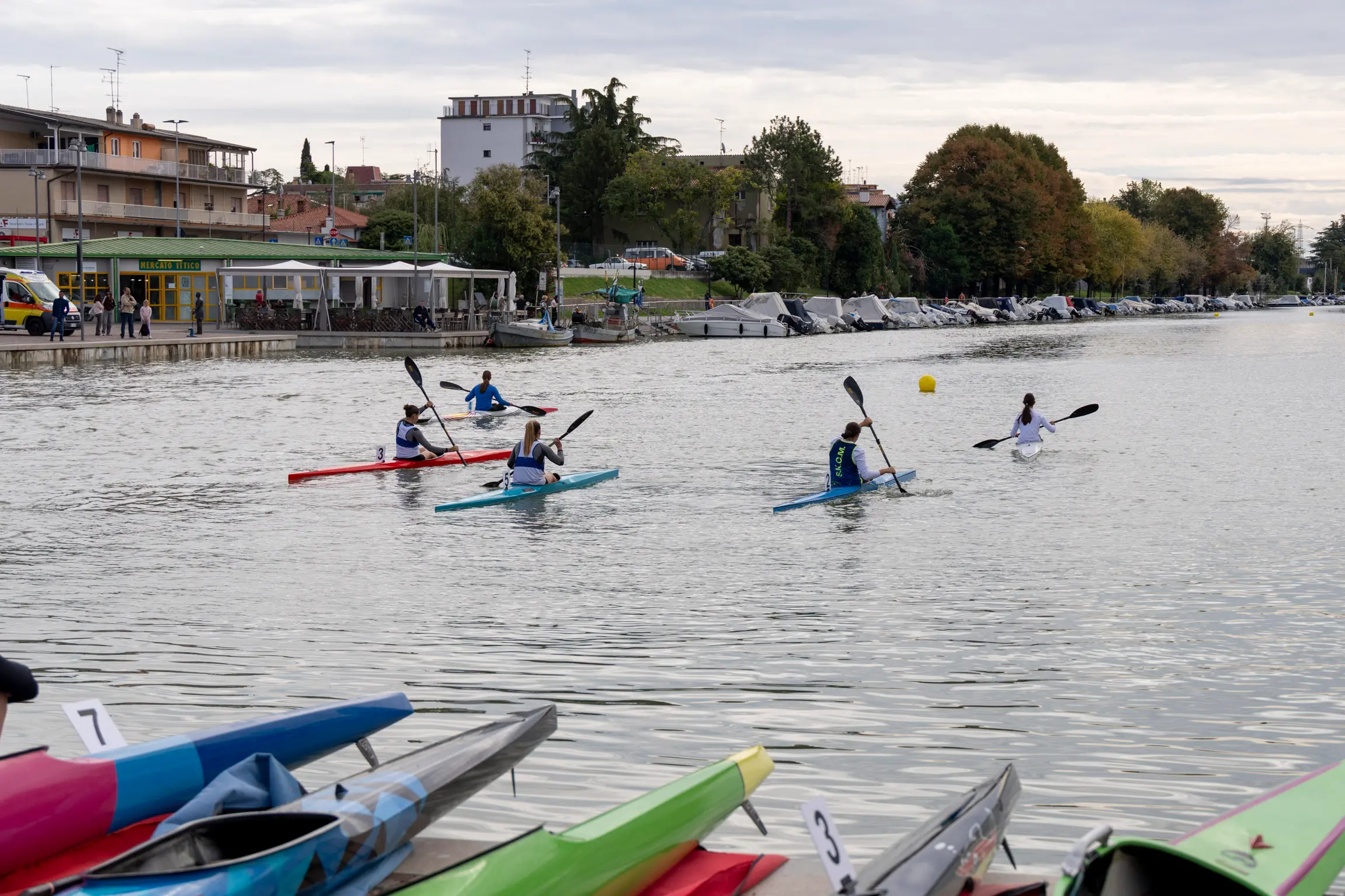 Nel fine settimana della Barcolana, il canale Valentinis si è trasformato in un piccolo campo di regata. Sabato mattina, al porticciolo Nazario Sauro, si è svolta la seconda edizione della Monfalcone Paddle Cup-Trofeo Città di Monfalcone, evento collaterale della 58ª edizione della regata triestina, organizzato dal Comune con la Società kayak canoa Monfalcone. Inedita la formula, ispirata alla vela: partenza lanciata davanti alla scalinata del porticciolo, quattro giri attorno a due boe posizionate a circa 200 metri e arrivo sulla stessa linea del via. Oltre alla velocità contavano quindi traiettorie e manovre. Erano attesi circa 80 atleti di diverse categorie: oltre ai padroni di casa, la Lega navale Monfalcone, il circolo Nazario Sauro di Trieste e le slovene Kkk Žusterna di Capodistria e Kkk Ankaran. La Capitaneria di porto ha garantito la sicurezza e chiuso alla navigazione il tratto di canale, mentre il Consorzio di bonifica ha ridotto l’afflusso d’acqua. Speaker d’eccezione l’azzurra monfalconese Giada Rossetti, bronzo europeo nel K2 500 con Lucrezia Zironi. Nel pomeriggio gli atleti erano attesi a un talk allo stand del Comune al Villaggio della Barcolana. Foto di Katia Bonaventura