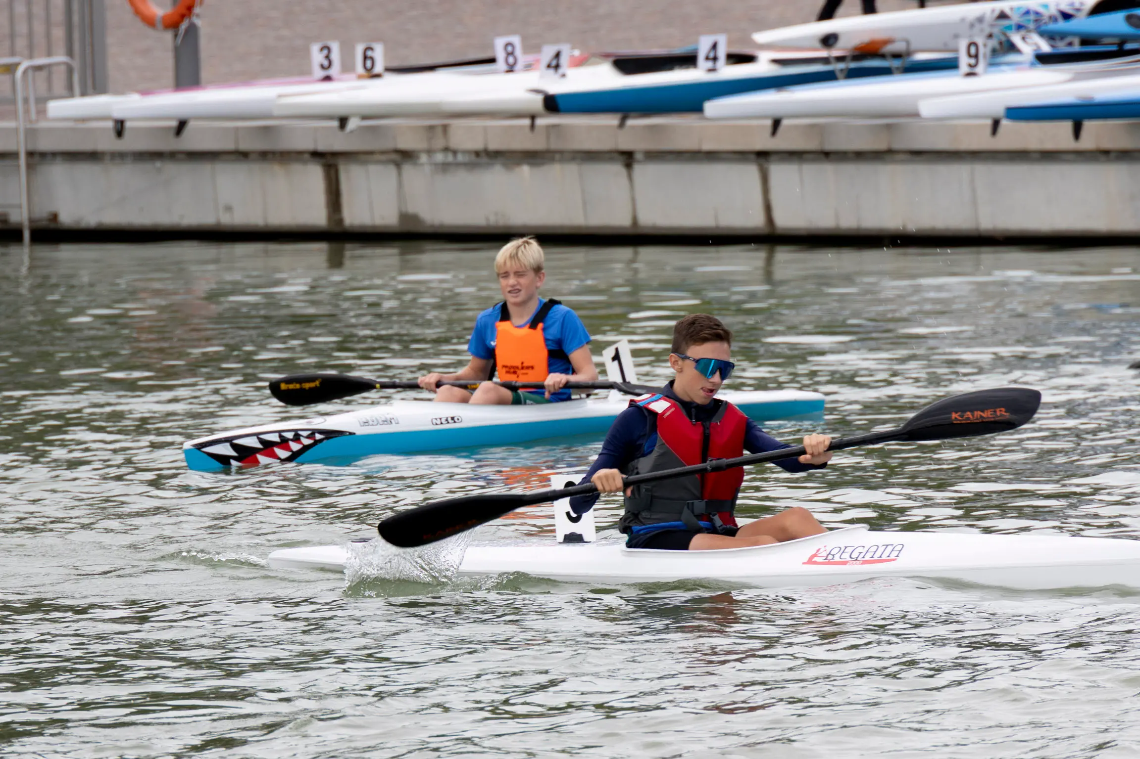 Nel fine settimana della Barcolana, il canale Valentinis si è trasformato in un piccolo campo di regata. Sabato mattina, al porticciolo Nazario Sauro, si è svolta la seconda edizione della Monfalcone Paddle Cup-Trofeo Città di Monfalcone, evento collaterale della 58ª edizione della regata triestina, organizzato dal Comune con la Società kayak canoa Monfalcone. Inedita la formula, ispirata alla vela: partenza lanciata davanti alla scalinata del porticciolo, quattro giri attorno a due boe posizionate a circa 200 metri e arrivo sulla stessa linea del via. Oltre alla velocità contavano quindi traiettorie e manovre. Erano attesi circa 80 atleti di diverse categorie: oltre ai padroni di casa, la Lega navale Monfalcone, il circolo Nazario Sauro di Trieste e le slovene Kkk Žusterna di Capodistria e Kkk Ankaran. La Capitaneria di porto ha garantito la sicurezza e chiuso alla navigazione il tratto di canale, mentre il Consorzio di bonifica ha ridotto l’afflusso d’acqua. Speaker d’eccezione l’azzurra monfalconese Giada Rossetti, bronzo europeo nel K2 500 con Lucrezia Zironi. Nel pomeriggio gli atleti erano attesi a un talk allo stand del Comune al Villaggio della Barcolana. Foto di Katia Bonaventura