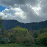 I boschi di Resia