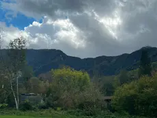 I boschi di Resia