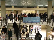 IMPORTEDNEMSANIFALL | IMPORTEDNEMSANIF0 | Lasorte Trieste 11/01/19 - Liceo Petrarca, Notte dei Classici