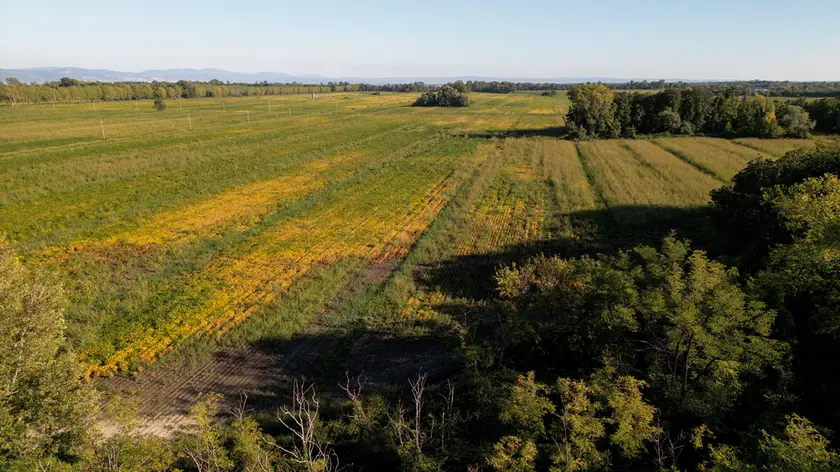Parte dell’area interessata dal progetto (foto Katia Bonaventura)