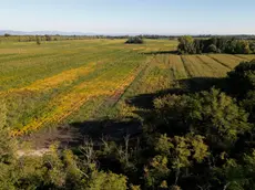 Parte dell’area interessata dal progetto (foto Katia Bonaventura)