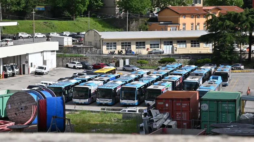 Una parte della flotta di Trieste Trasporti al Broletto (foto Francesco Bruni)