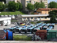 Una parte della flotta di Trieste Trasporti al Broletto (foto Francesco Bruni)