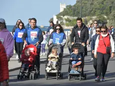 Un’immagine della gara per famiglie dello scorso anno inserita nella Corsa dei Castelli Foto Bruni