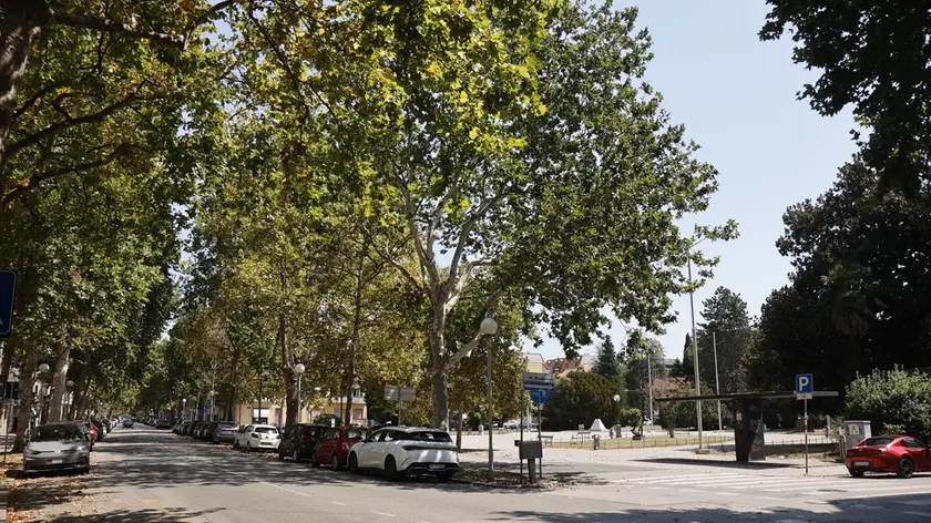 Un angolo di Parco della Rimembranza