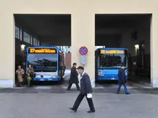 La stazione degli autobus di Muggia