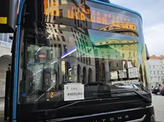 Un autobus con l'omaggio ad Angelina Fabian