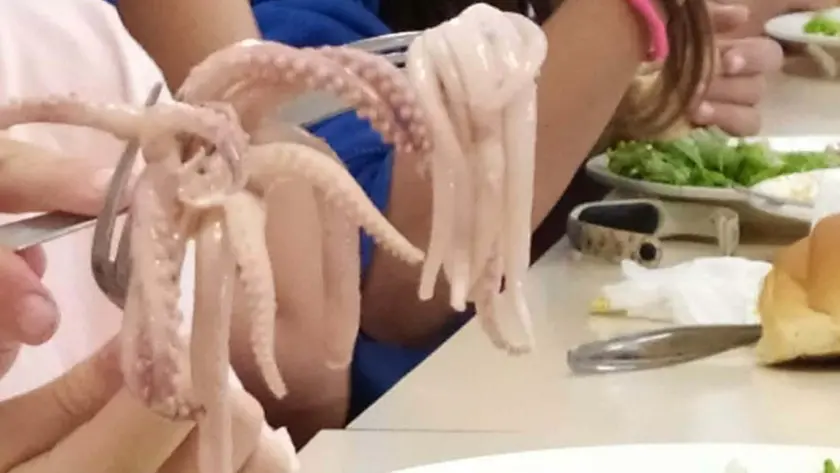 Cibo crudo a scuola: è protesta