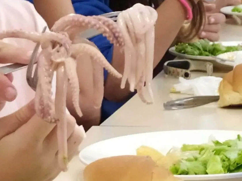 Cibo crudo a scuola: è protesta