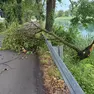 Un'immagine emblematica della Strada del Brancolo