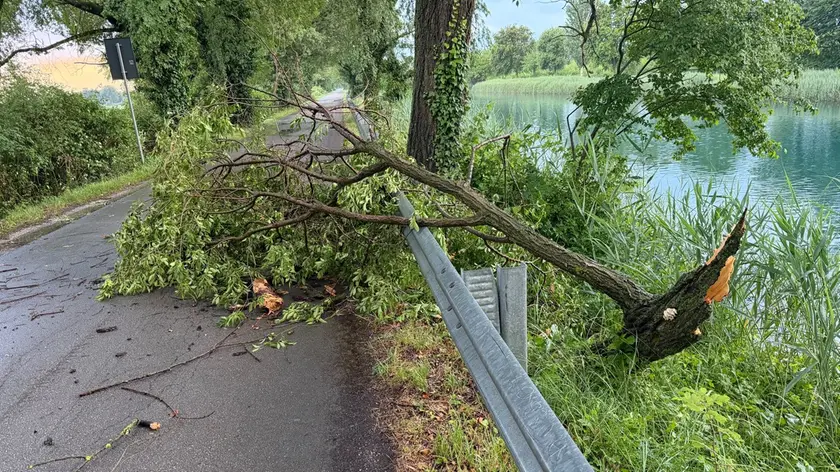 Un'immagine emblematica della Strada del Brancolo