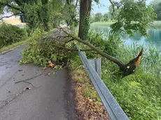 Un'immagine emblematica della Strada del Brancolo