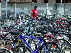 Centinaia di biciclette parcheggiate a Panzano davanti alla Fincantieri (Foto Bonaventura)