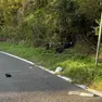 La moto fuori strada e i rilievi (fotoservizio Massimo Silvano)