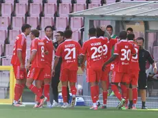 La Triestina ha battuto al Rocco il Conegliano grazie al gol di Lupi (foto Andrea Lasorte)